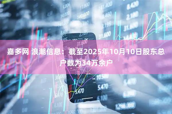 嘉多网 浪潮信息：截至2025年10月10日股东总户数为34万余户